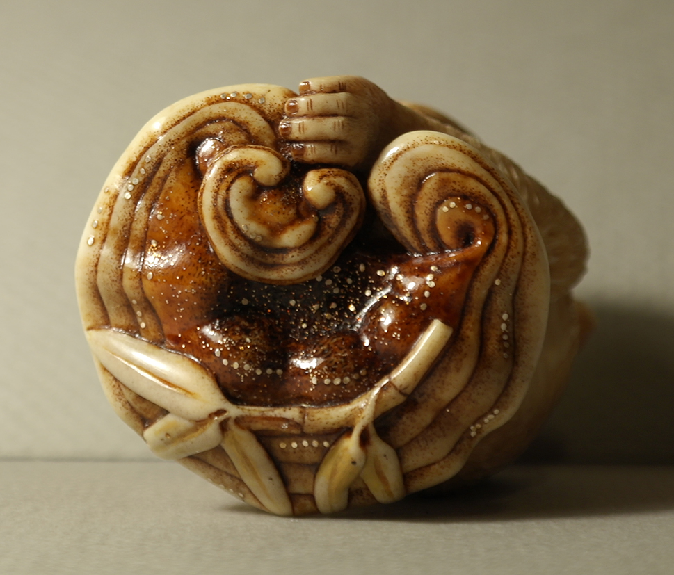 Monkey and reishi008a